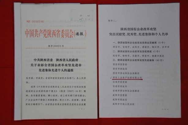 2009年2月，被陕西省委、省政府授予陕西省国有企业改革攻坚先进集体
